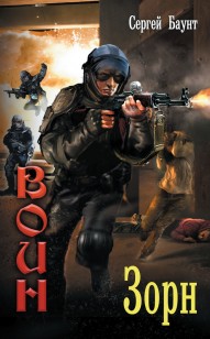 Обложка книги Зорн