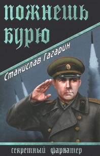 Обложка книги Пожнешь бурю