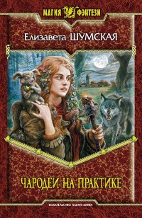 Обложка книги Чародеи на практике