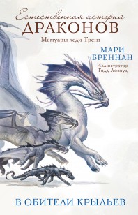Обложка книги В Обители Крыльев