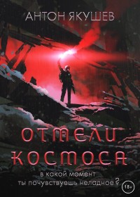 Обложка книги Отмели космоса