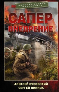 Обложка книги Внедрение